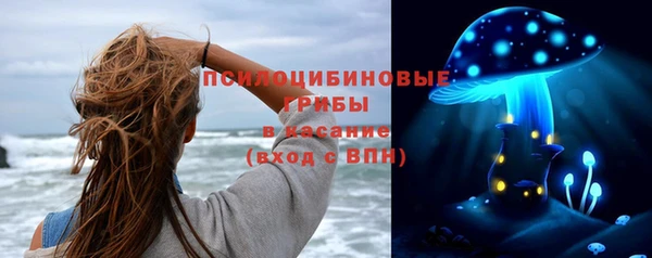 a pvp Алексин
