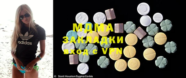индика Алзамай