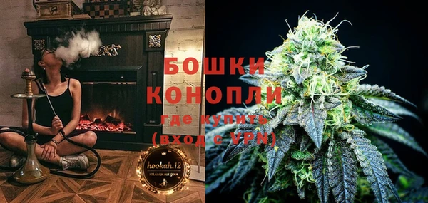 индика Алзамай