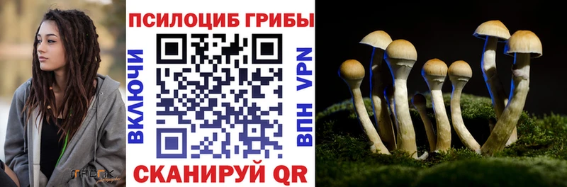 Галлюциногенные грибы Magic Shrooms  ссылка на мегу ТОР  Полысаево  наркотики 